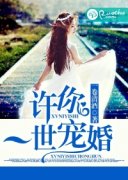 ����һ�����С˵