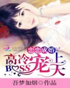 �����ɻ飺����BOSS������С˵