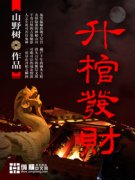 ���׷���С˵