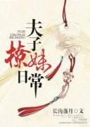 ���������ճ�С˵