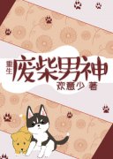 �ϲ�����[����]С˵