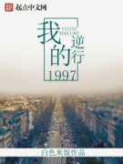 ҵ1997С˵