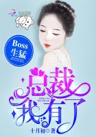BossͣܲãĶtxt