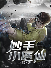 ����Сҽ��С˵