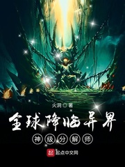 ȫ磺񼶷ֽʦС˵