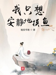ֻ밲С˵