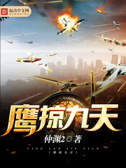 ӥ�Ӿ���С˵