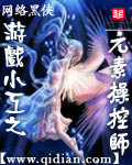 ϷС֮ԪزٿʦС˵