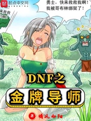 DNF֮ƵʦС˵