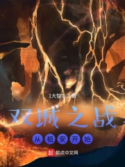 ˫֮ս氲ʼС˵