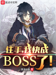 ס֣ҿbossˣС˵