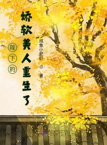 ���µĽ�������������С˵