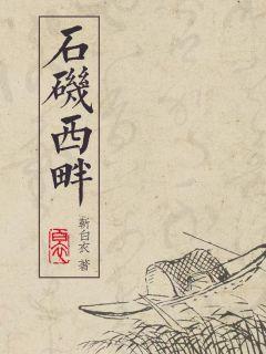 ��������С˵