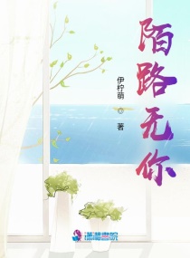 ��������������С˵