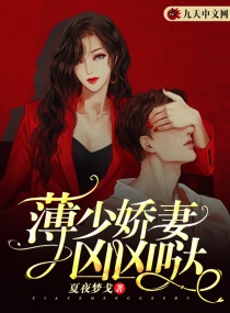 ���ٽ���������С˵