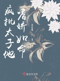 ̫ȽС˵