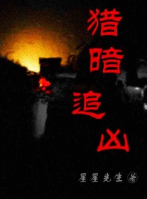 �԰�׷��С˵