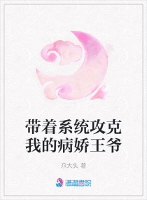 ����ϵͳ�����ҵĲ�����үС˵