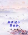 ĲÿС˵