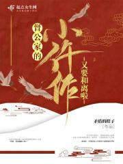 �����ҵ�С������Ҫ������С˵