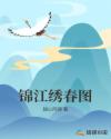 崺ͼС˵