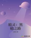 飺ڰ֮·С˵