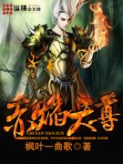 ��������С˵