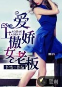 ���ϰ���Ů�ϰ�С˵