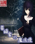 ҵħʹС˵