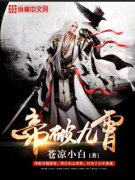 ���ƾ���С˵