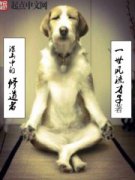 ��ɽ�е��޵���С˵