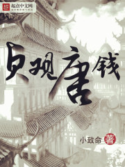 ǮС˵