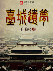 ̨������С˵