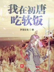 ���ڳ��Ƴ�����С˵