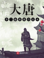 ���ƣ����͵�����ռǱ�С˵