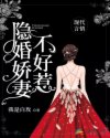 齿޲Ķtxt