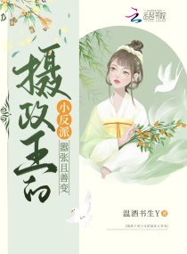 ��������С�����������Ʊ�С˵