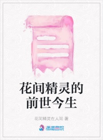 侫ǰС˵