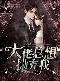 ��������������С˵