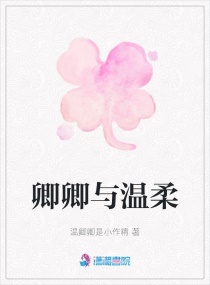 ����������С˵