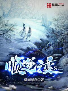 ˳��֮��С˵