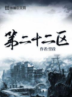 �ڶ�ʮ����С˵