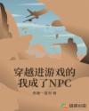 ԽϷҳNPCС˵